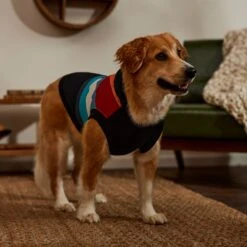 STAR WARS Retro Fleece Dog & Cat Hoodie -Pet Cat Supplies Store 354027 PT8. AC SS1800 V1660750163