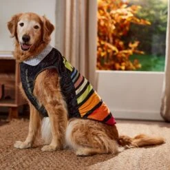 STAR WARS Lightweight Retro Dog & Cat Fleece Vest -Pet Cat Supplies Store 354052 PT7. AC SS1800 V1660749933