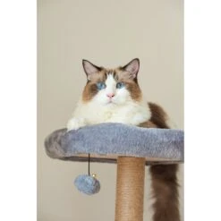 Catry 42.1-in Oak 7-Level Cat Tree With Jute Scratching Posts & Cozy Hammock 10 Catry 42.1-in Oak 7-Level Cat Tree With Jute Scratching Posts & Cozy Hammock -Pet Cat Supplies Store 354549 PT3. AC SS1800 V1640317313