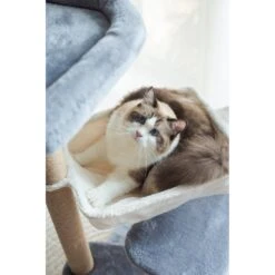 Catry 42.1-in Oak 7-Level Cat Tree With Jute Scratching Posts & Cozy Hammock 11 Catry 42.1-in Oak 7-Level Cat Tree With Jute Scratching Posts & Cozy Hammock -Pet Cat Supplies Store 354549 PT4. AC SS1800 V1640317623