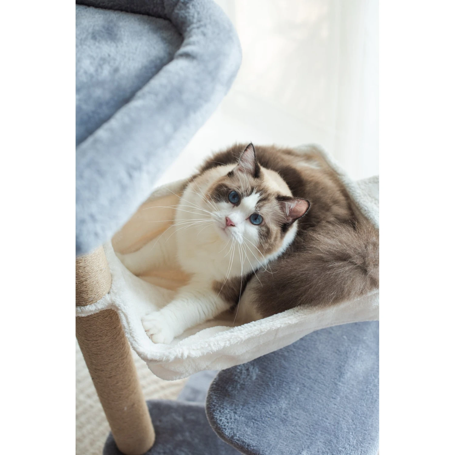 Catry 42.1-in Oak 7-Level Cat Tree With Jute Scratching Posts & Cozy Hammock 5 Catry 42.1-in Oak 7-Level Cat Tree With Jute Scratching Posts & Cozy Hammock - Image 5