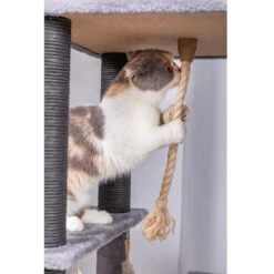 Catry Interactive 7-Level Cat Tree With Condo, Scratching Posts, & Toys -Pet Cat Supplies Store 354554 PT7. AC SS1800 V1640317612
