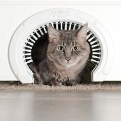 Purrfect Portal With Brush Interior Cat Door