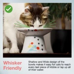 Necoichi Extra Wide Raised Cat Food Bowl -Pet Cat Supplies Store 357119 PT2. AC SS1800 V1657657126