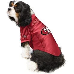 Littlearth NFL Stretch Dog & Cat Jersey, San Francisco 49ers 7 Littlearth NFL Stretch Dog & Cat Jersey, San Francisco 49ers -Pet Cat Supplies Store 357290 PT2. AC SS1800 V1642026121