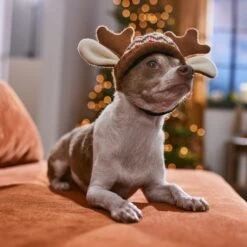 Frisco Antler Fair Isle Dog & Cat Hat -Pet Cat Supplies Store 358313 PT4. AC SS1800 V1661798696