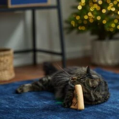 Frisco Holiday Santa's List Plush & Feather Cat Toy With Catnip -Pet Cat Supplies Store 360895 PT3. AC SS1800 V1661874361