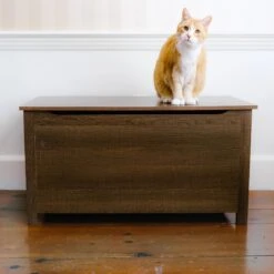 Designer Pet Products Parker Designer Wood Catbox Furniture Litter Box Enclosure, 36-in -Pet Cat Supplies Store 362058 PT5. AC SS1800 V1643214398