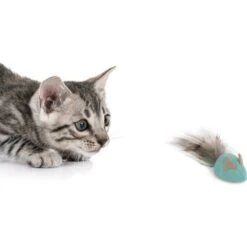 Petlinks Marble Mayhem Rolling Marble Racoon Cat Toy, Teal, Small 8 Petlinks Marble Mayhem Rolling Marble Racoon Cat Toy, Teal, Small -Pet Cat Supplies Store 362912 PT3. AC SS1800 V1642633288
