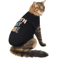 Frisco Birthday Vibe Dog & Cat T-Shirt 9 Frisco Birthday Vibe Dog & Cat T-Shirt -Pet Cat Supplies Store 368790 PT2. AC SS1800 V1669100911