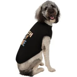 Frisco Birthday Vibe Dog & Cat T-Shirt 10 Frisco Birthday Vibe Dog & Cat T-Shirt -Pet Cat Supplies Store 368790 PT4. AC SS1800 V1669100229