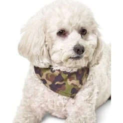 Boulevard Personalized Remy Camo Dog Bandana 10 Boulevard Personalized Remy Camo Dog Bandana -Pet Cat Supplies Store 370165 PT5. AC SS1800 V1649376722
