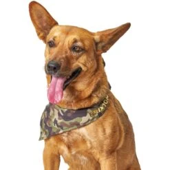 Boulevard Personalized Remy Camo Dog Bandana 11 Boulevard Personalized Remy Camo Dog Bandana -Pet Cat Supplies Store 370165 PT6. AC SS1800 V1649376226