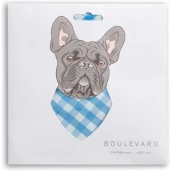 Boulevard Personalized Remy Gingham Dog Bandana -Pet Cat Supplies Store 370168 PT2. AC SS1800 V1649374631