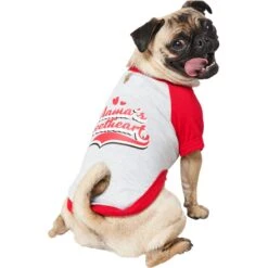 Frisco Mama's Sweetheart Dog & Cat T-Shirt -Pet Cat Supplies Store 371063 PT2. AC SS1800 V1701797003