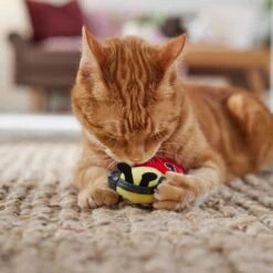 Frisco Valentine Jammin' Ladybug Plush Cat Toy With Catnip 8 Frisco Valentine Jammin' Ladybug Plush Cat Toy With Catnip -Pet Cat Supplies Store 371081 PT3. AC SS1800 V1668736252