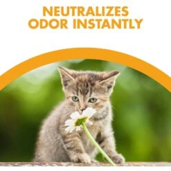 Feline Pine Original Non-Clumping Wood Cat Litter 12 Feline Pine Original Non-Clumping Wood Cat Litter -Pet Cat Supplies Store 47407 PT3. AC SS1800 V1663797194