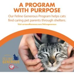 Feline Pine Original Non-Clumping Wood Cat Litter 17 Feline Pine Original Non-Clumping Wood Cat Litter -Pet Cat Supplies Store 47407 PT8. AC SS1800 V1663797230