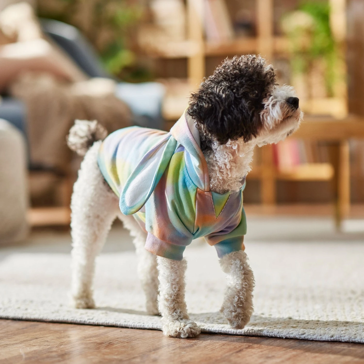 Frisco Wash Effect Bunny Ear Hoodie 8 Frisco Wash Effect Bunny Ear Hoodie - Image 8