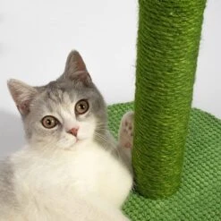 Lovely Caves 23.6-in Cactus Cat Scratching Post. Green, Large -Pet Cat Supplies Store 525702 PT2. AC SS1800 V1658219856