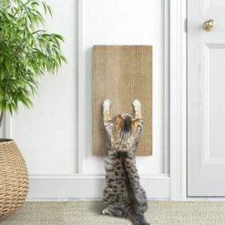 Way Basics Katwall Wall Scratching Post With Catnip -Pet Cat Supplies Store 530558 PT3. AC SS1800 V1652769688