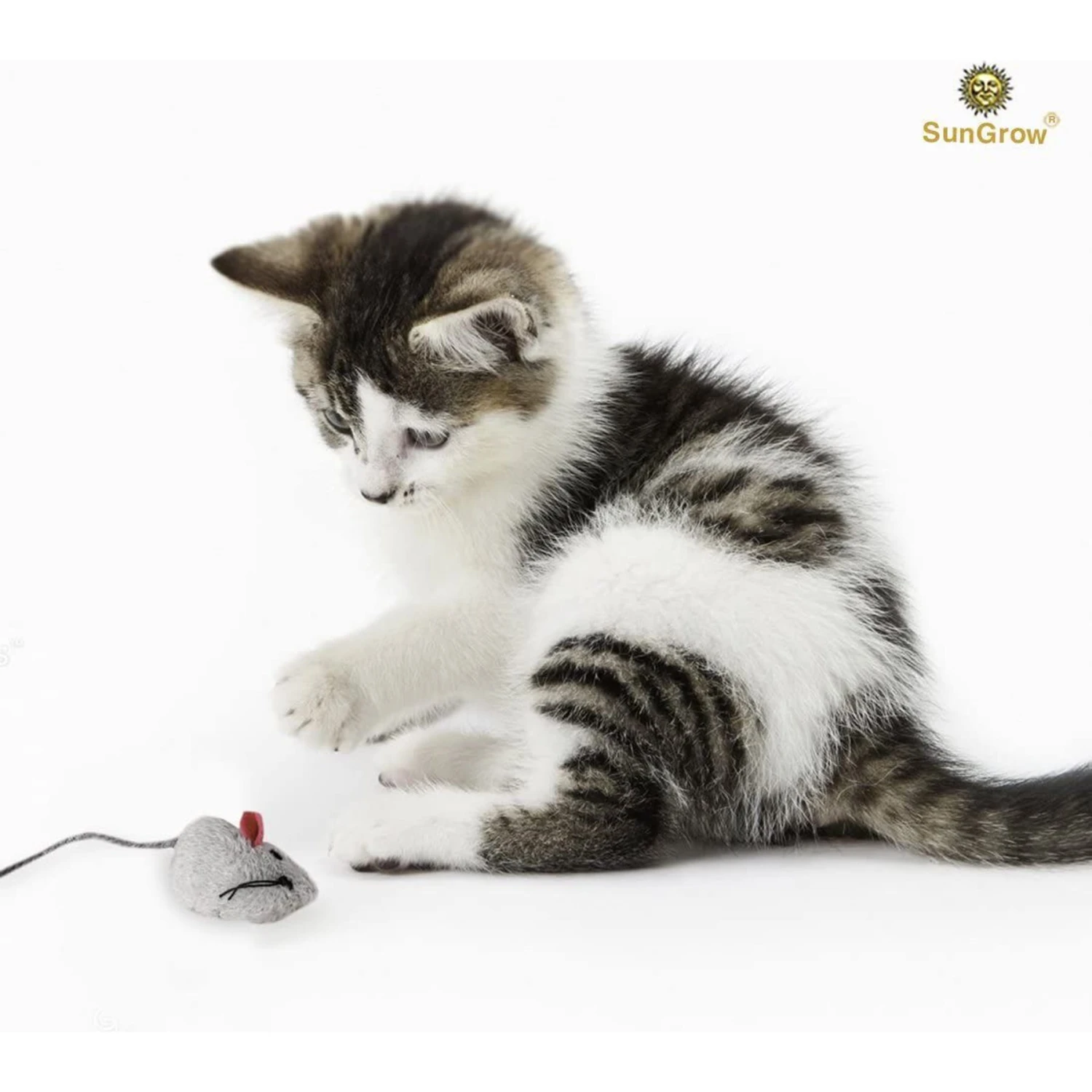 SunGrow Teething Chews Cat & Ferret Chase & Kicker Mouse Plush Toy, 5 Count 2 SunGrow Teething Chews Cat & Ferret Chase & Kicker Mouse Plush Toy, 5 Count - Image 2