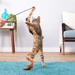 KONG Swizzle Bird Cat Teaser, Color Varies -Pet Cat Supplies Store 54924 PT4. AC SS1800 V1545170365