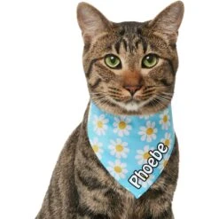 Frisco Personalized Blue Daisy Bandana -Pet Cat Supplies Store 555206 PT6. AC SS1800 V1669839922