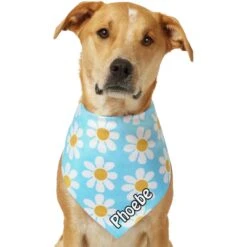 Frisco Personalized Blue Daisy Bandana -Pet Cat Supplies Store 555206 PT7. AC SS1800 V1669839925
