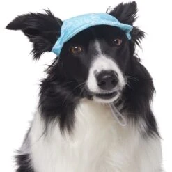 Frisco Blue Ocean Waves 30 + UPF Dog & Cat Beach Cap -Pet Cat Supplies Store 556182 PT3. AC SS1800 V1677530963
