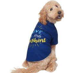 Frisco I Live In The Sunshine Dog & Cat T-Shirt -Pet Cat Supplies Store 556222 PT3. AC SS1800 V1674829145