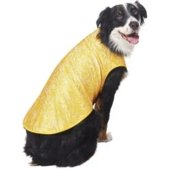 Frisco 30+ UPF Dog & Cat Beach Rash Guard -Pet Cat Supplies Store 556286 PT4. AC SS1800 V1675713977