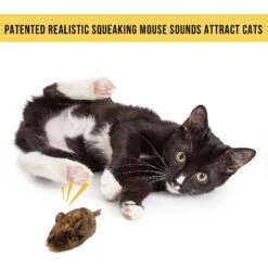 Pet Zone Play-N-Squeak MouseHunter Cat Toy With Catnip 8 Pet Zone Play-N-Squeak MouseHunter Cat Toy With Catnip -Pet Cat Supplies Store 55741 PT2. AC SS1800 V1583765065