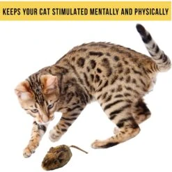 Pet Zone Play-N-Squeak MouseHunter Cat Toy With Catnip 11 Pet Zone Play-N-Squeak MouseHunter Cat Toy With Catnip -Pet Cat Supplies Store 55741 Pt5. AC SS1800 V1583765276