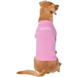 Frisco Personalized Basic Dog & Cat T-Shirt 9 Frisco Personalized Basic Dog & Cat T-Shirt -Pet Cat Supplies Store 557438 PT2. AC SS1800 V1662738086