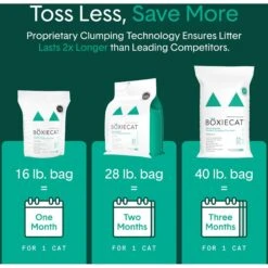 Boxiecat Gently Scented Premium Clumping Clay Cat Litter 12 Boxiecat Gently Scented Premium Clumping Clay Cat Litter -Pet Cat Supplies Store 582094 PT5. AC SS1800 V1658618566