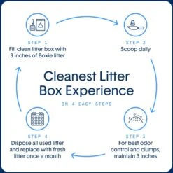 Boxiecat Extra Strength Unscented Premium Clumping Clay Cat Litter -Pet Cat Supplies Store 582110 PT6. AC SS1800 V1658678546