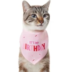 Frisco Dog & Cat Birthday Bandana 10 Frisco Dog & Cat Birthday Bandana -Pet Cat Supplies Store 608206 PT2. AC SS1800 V1676644511