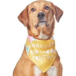 Frisco Wake Up Positive Dog & Cat Bandana -Pet Cat Supplies Store 608230 PT3. AC SS1800 V1676643831