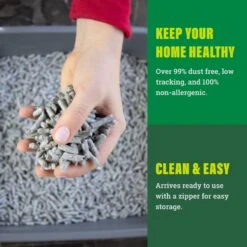 Fresh News Unscented Non-Clumping Paper Cat Litter -Pet Cat Supplies Store 61630 PT6. AC SS1800 V1667519484