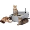 PetSafe Multi-Cat Litter Box