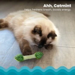 Catstages Fresh Breath Mint Stick Cat Chew Toy -Pet Cat Supplies Store 62044 PT2. AC SS1800 V1636519877
