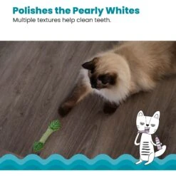 Catstages Fresh Breath Mint Stick Cat Chew Toy -Pet Cat Supplies Store 62044 PT3. AC SS1800 V1636513103