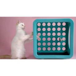 Kitty Kasa Snap On Recreation Cat House -Pet Cat Supplies Store 622038 PT2. AC SS1800 V1663191239