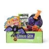 Goody Box Halloween Cat Toys & Treats