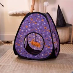 Goody Box Halloween Cat Toys & Treats -Pet Cat Supplies Store 631182 PT4. AC SS1800 V1690839980