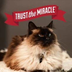 Nature's Miracle Intense Defense Scented Clumping Clay Cat Litter -Pet Cat Supplies Store 633374 PT6. AC SS1800 V1667947582