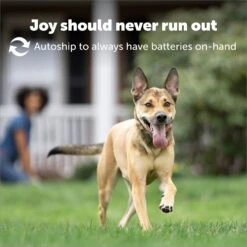 PetSafe RFA-67 6 Volt Replacement Batteries -Pet Cat Supplies Store 63653 PT4. AC SS1800 V1687288702