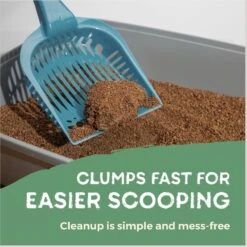 Naturally Fresh Quick Clumping Unscented Cat Litter, 40-lb Bag -Pet Cat Supplies Store 639646 PT6. AC SS1800 V1664228759