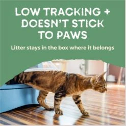 Naturally Fresh Quick Clumping Unscented Cat Litter, 40-lb Bag -Pet Cat Supplies Store 639646 PT7. AC SS1800 V1664228407